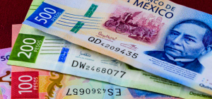 Nueva fecha de registro para recibir apoyo de 8 mil pesos mensuales