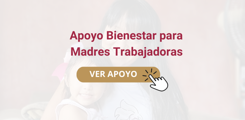 Apoyo para el Bienestar de las Niñas y Niños Hijos de Madres Trabajadoras